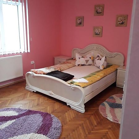 Casa Ade Apartment Călimăneşti Bagian luar foto