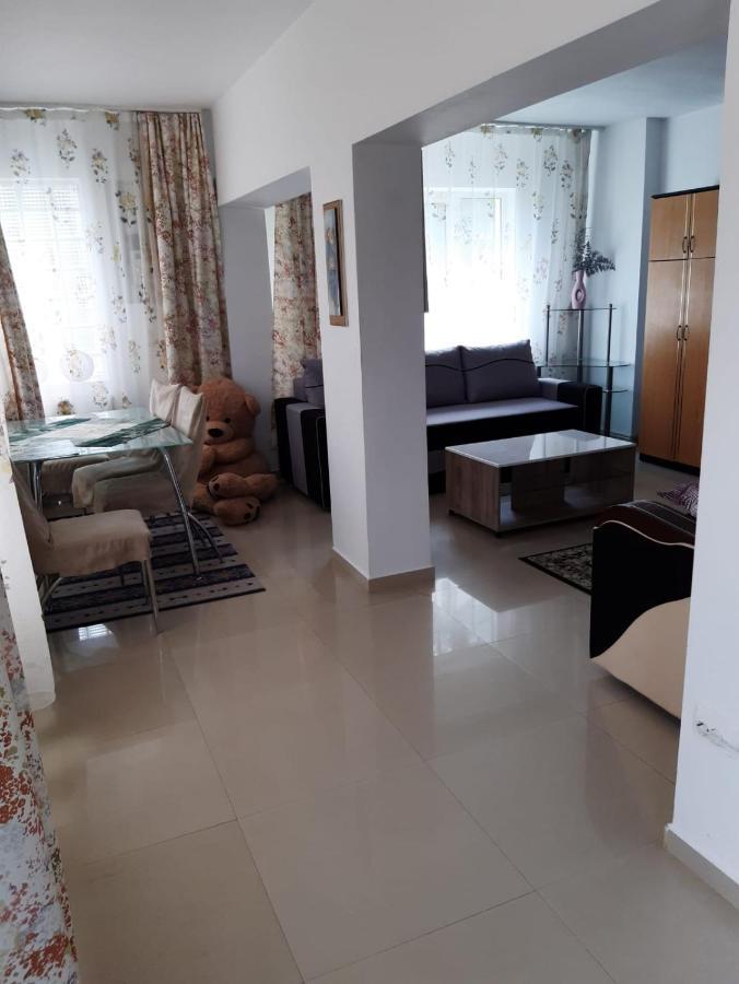 Casa Ade Apartment Călimăneşti Bagian luar foto