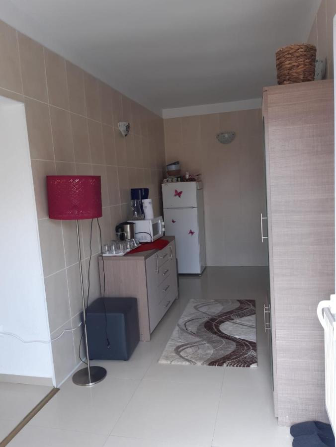 Casa Ade Apartment Călimăneşti Bagian luar foto