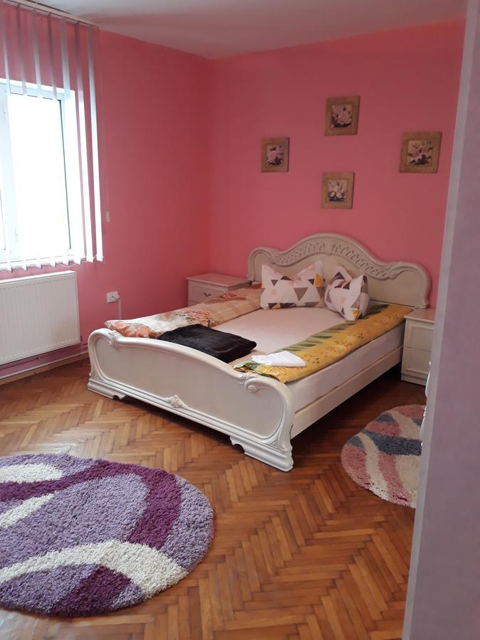 Casa Ade Apartment Călimăneşti Bagian luar foto