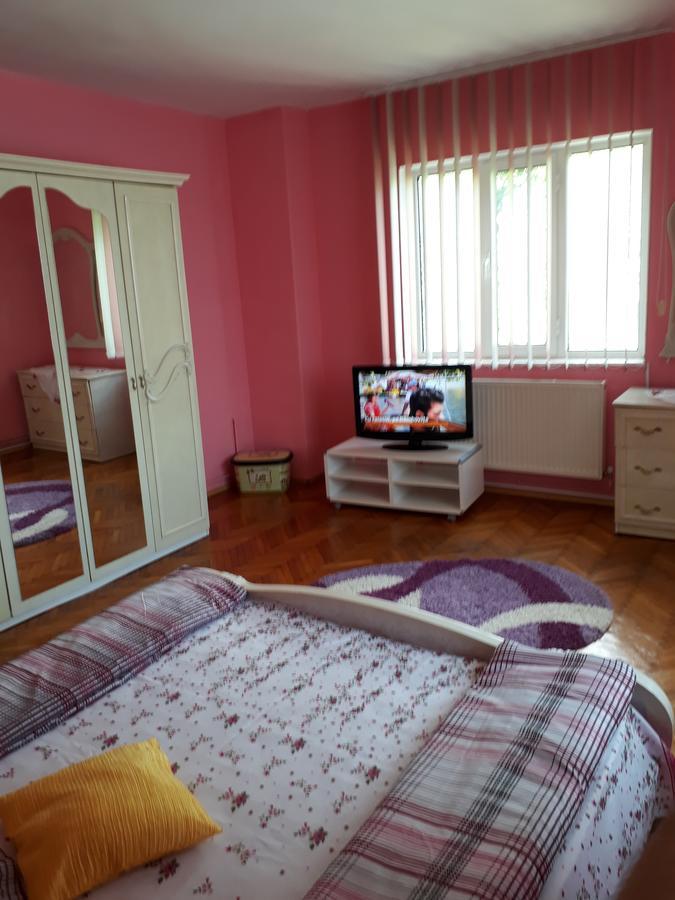 Casa Ade Apartment Călimăneşti Bagian luar foto