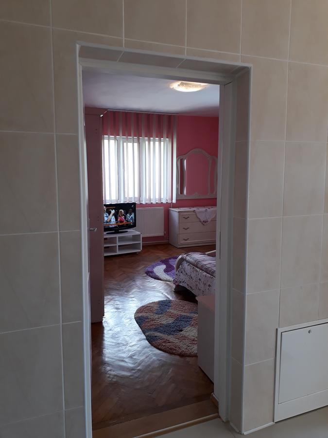 Casa Ade Apartment Călimăneşti Bagian luar foto
