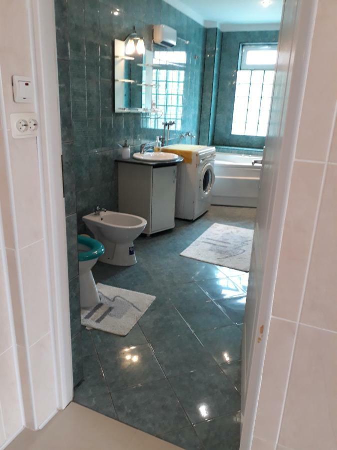 Casa Ade Apartment Călimăneşti Bagian luar foto