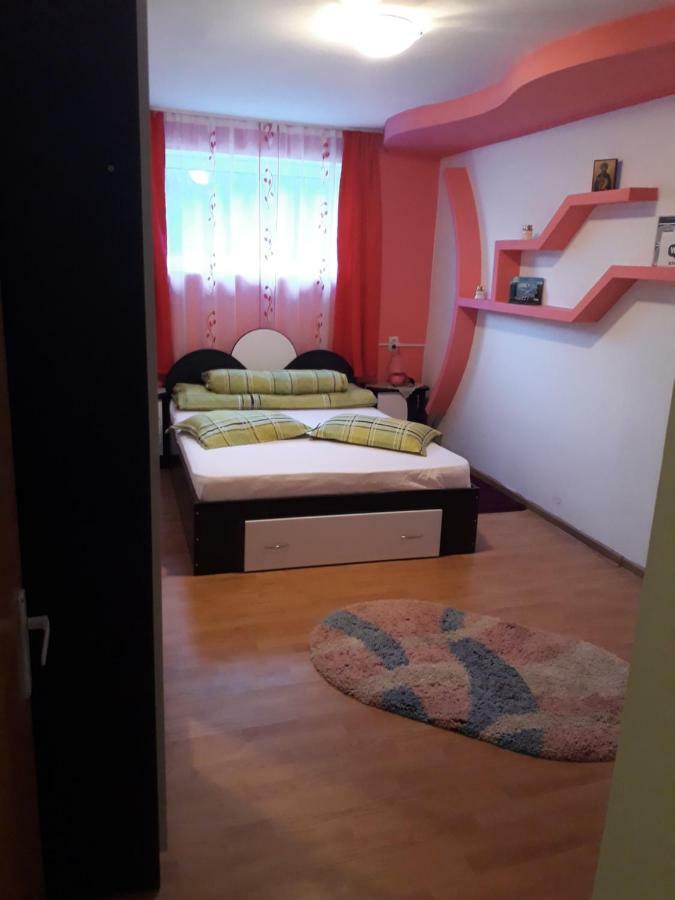 Casa Ade Apartment Călimăneşti Bagian luar foto