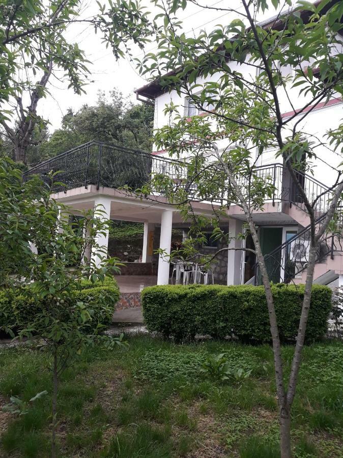 Casa Ade Apartment Călimăneşti Bagian luar foto