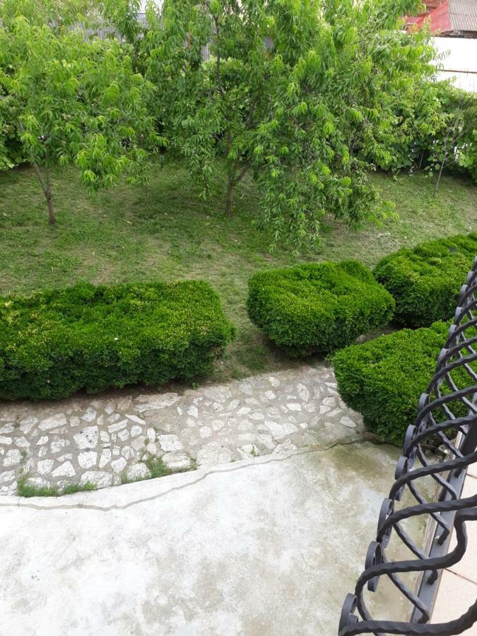 Casa Ade Apartment Călimăneşti Bagian luar foto