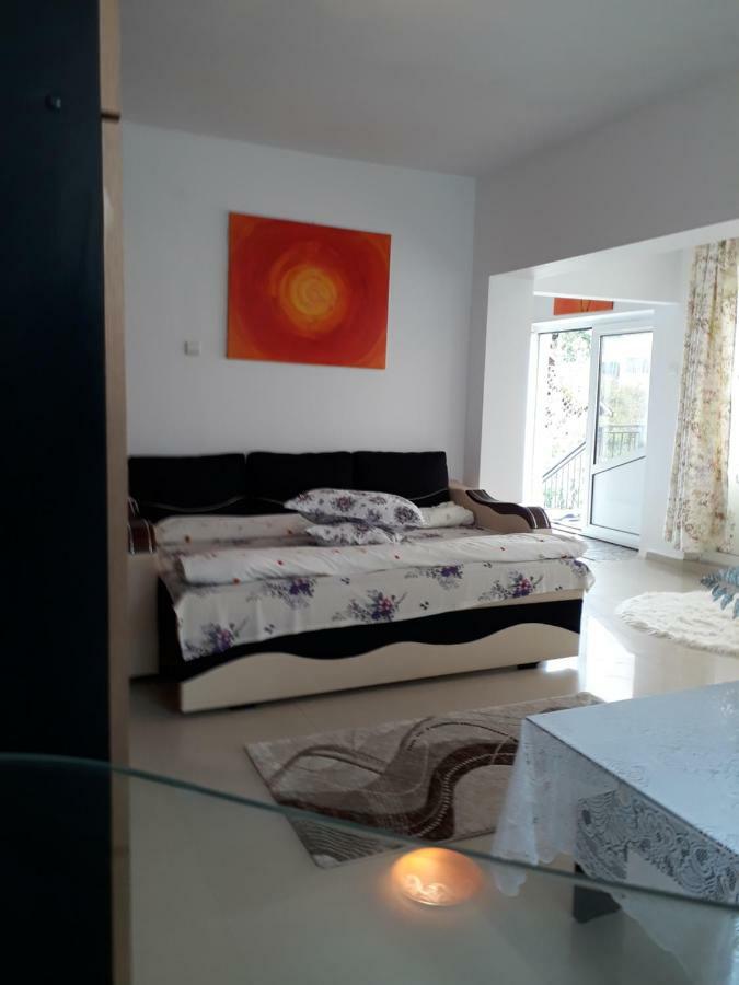 Casa Ade Apartment Călimăneşti Bagian luar foto